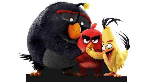 angry birds pics|angry birds wallpaper for laptop.